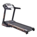 BioTech Fitness 2.0 Hp Ac Motor Treadmill | BFT 300