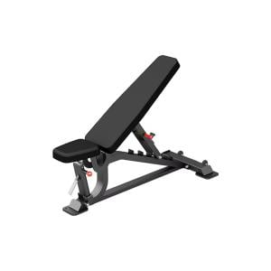 Insight Fitness Fid Bench