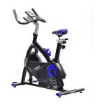 Reebok Fitness GSB One Series Indoor Bike