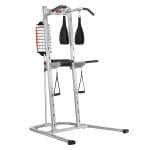 Bowflex BodyTower