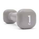 Reebok Fitness Dumbbell, 1.0 Kg 