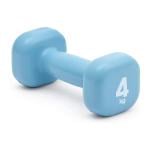 Reebok Fitness Dumbbell, 4 Kg 