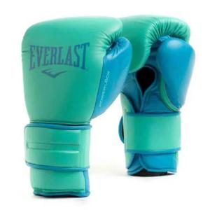 Everlast Powerlock 2 Training Gloves, Biscay, 14 Oz