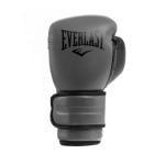 Everlast Powerlock 2 Training Gloves, Charcoal, 12 Oz