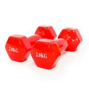 Dawson Sports Vinyl Dumbbell Pair, 2 Kg 