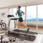 Horizon Fitness Treadmill PARAGON X