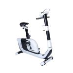 Horizon Fitness Comfort 3 Upright Bike