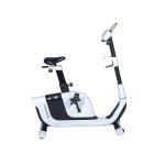 Horizon Fitness Comfort 3 Upright Bike