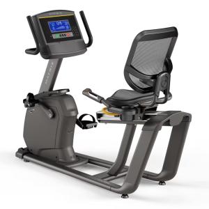 Matrix Recumbent Bike R30xr