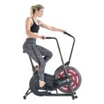 Schwinn Airdyne AD2i Cycling Bike