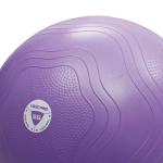 Livepro Anti-Burst Core-Fit Exercise Ball