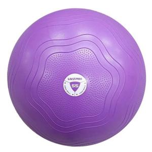 Livepro Anti-Burst Core-Fit Exercise Ball