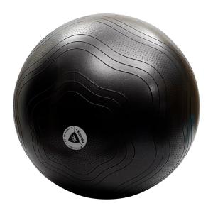 Livepro Anti-Burst Core-Fit Exercise Ball