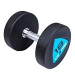 Livepro Urethane Dumbbell Pair - LP8002, 2 Kg 