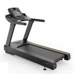 Insight Fitness Commercial Treadmill CT3000B