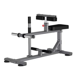 Insight Fitness Seated Calf Raise DR011