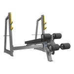 Dhz Fitness Olympic Decline Bench