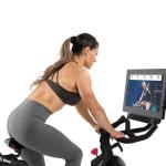 Proform Spin Bike Pro C22