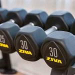 Ziva EPS 2-Tier 6 Pair Hexagon Dumbbell Rack