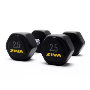 Ziva Performance Hexagon Steel Dumbbell, 2.5 Kg 