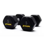 Ziva Performance Hexagon Steel Dumbbell, 5 Kg 