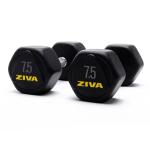 Ziva Performance Hexagon Steel Dumbbell, 7.5 Kg 