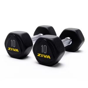 Ziva Performance Hexagon Steel Dumbbell, 10 Kg 