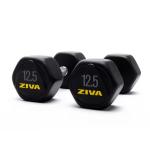 Ziva Performance Hexagon Steel Dumbbell, 12.5 Kg 