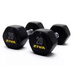 Ziva Performance Hexagon Steel Dumbbell, 20 Kg 