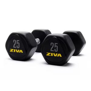 Ziva Performance Hexagon Steel Dumbbell, 25 kg 