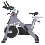 Afton Spin Bike