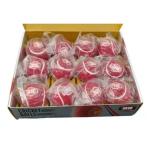 SS Cricket Softball Pro-Cricket Ball 1 Box (12Pc)