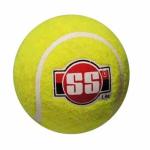 SS Cricket Softball Pro-Cricket Ball 1 Pc