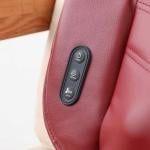 ARES iCozy Cushion Massager (Wine Red)