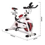 PowerMax Fitness BS-155 Spin Exercise Bike