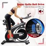 PowerMax Fitness B-S2 Spin Exercise Bike