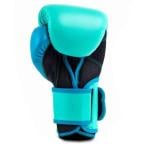 Everlast 12 Oz Powerlock 2 Training Gloves, Biscay