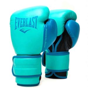 Everlast 12 Oz Powerlock 2 Training Gloves, Biscay