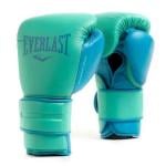 Everlast 14 Oz Powerlock 2 Training Gloves, Biscay