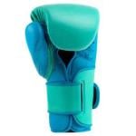 Everlast 14 Oz Powerlock 2 Training Gloves, Biscay