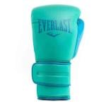 Everlast 14 Oz Powerlock 2 Training Gloves, Biscay