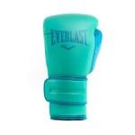 Everlast 16 Oz Powerlock 2 Training Gloves, Biscay