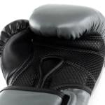 Everlast 12 Oz Powerlock 2 Training Gloves, Charcoal