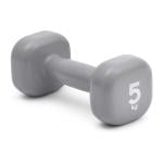 Reebok Fitness Dumbbell, 5 Kg