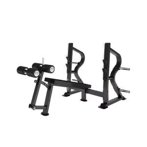 Insight Fitness Decline Bench Press