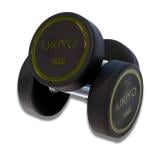 UKIYO The Dumbbell, 14 Kg 