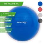 Tunturi Gymball, Blue, 55 cm