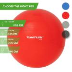 Tunturi Gymball, Red, 65 cm