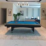 Rais Commercial Billiard Pool Table/RS9CB 9FT