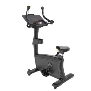 Insight Fitness Commercial Upright Bike RU5-22